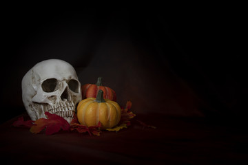 human skull and pumpkins  placed on  maple autumn leaves for halloween , still life style , under...