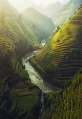 Vlies Fototapete Reisfelder Vietnam Reis terrassiert