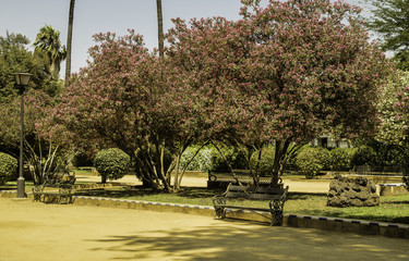 Banco de jardim