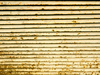 Texture of gray boards with old wood. Background.
