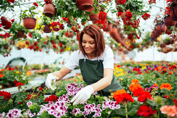 Redhead young woman working in greenhouse and enjoying in beautiful flowers. Female worker working at garden center.