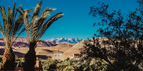 Fototapeta na wymiar Verde, arena y nieve desde algún lugar de Marruecos