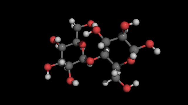 D-Lactose molecule model rotating. D-Lactose is a disaccharide, a sugar in human  and cow milk, composed of glucose and lactose. It is used in pharmacy for tablets, in medicine as a nutrient, and in i