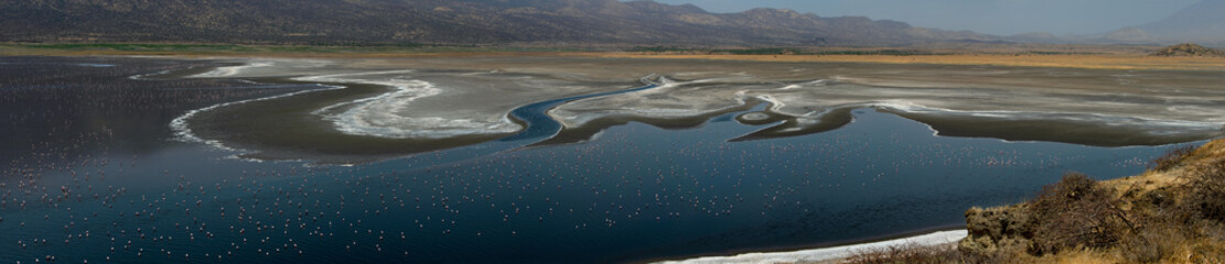 Flamingos in the water near the shore of Lake Natron. Panorama. Aerial view. Tanzania.