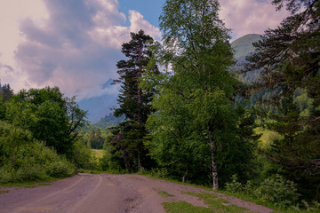 Fototapeta premium the Caucasus Arkhyz