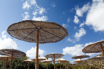 umbrellas on the beach