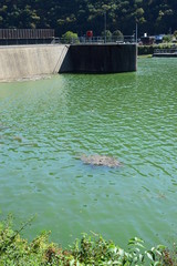 Schleusenanlage Müden an der Mosel