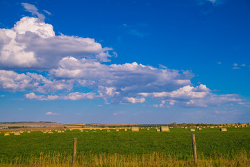 Fototapeta na wymiar Bales of hay on field 