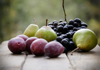 Pears vine of plum on a wooden background.