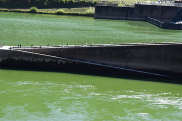 Schleusenanlage Müden an der Mosel