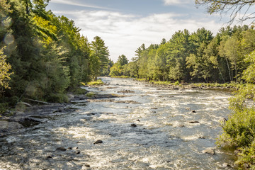 Fototapeta na wymiar River with rapids surrounded by evergreen tree