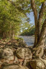 River with trees and rocks in the foreground