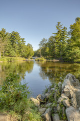 Fototapeta na wymiar Peaceful pond surrounded by evergreen trees