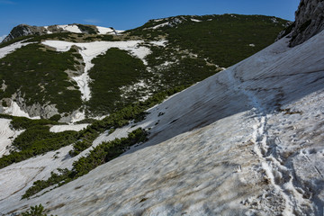 Pathway in the snow leads to landscape rocky mountains national park 