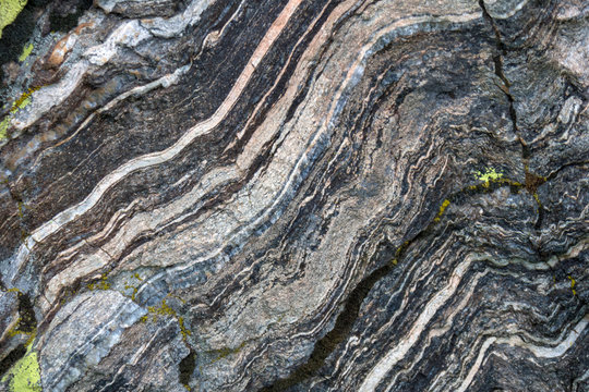 quartz veins in metamorphic rock
