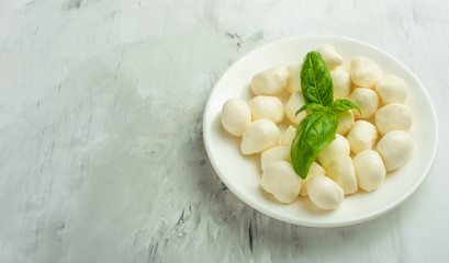 Mozzarella with basil leaves - fresh ingredients for caprese salad with copy space on light background, top view