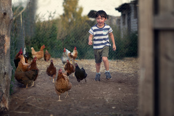 boy running on the yard with hens