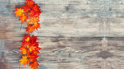 Autumn background with colored maple leaves on wooden boar. Special light. Thanksgiving background. Selective focus.Copy space.
