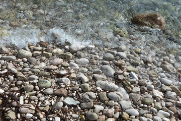shore with stones