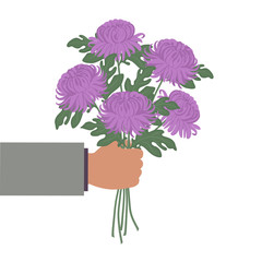 Hand holding a bouquet of purple chrysanthemums. Vector illustration on a white background