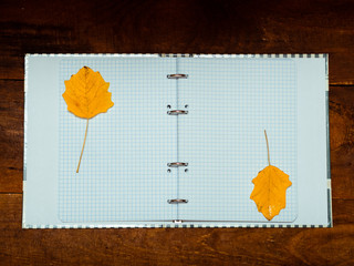 Open notebook on dark wooden boards with autumn leaves.