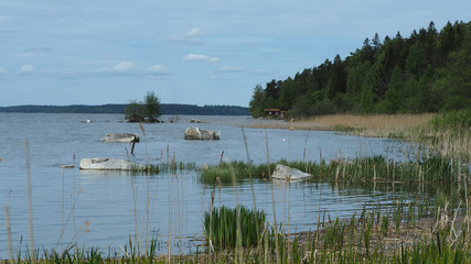 lake in sweden