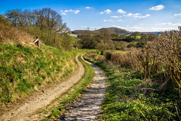 Fototapeta na wymiar Tranquil British countryside - Winding lane leading to Cley Hill in Wiltshire,