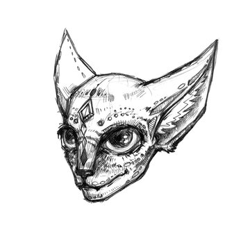 Hand drawn illustration of isolated on a white background sphinx cat head. Sketch style drawing. Can be printed on a t-shirt, postcards, tattoo, books images, etc.