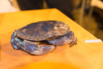 Crab ready to be cooked