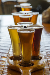 Beer flight