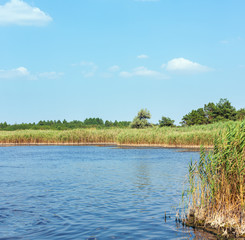 Summer Pryschukove lake landscape (Kherson Region, Ukraine).