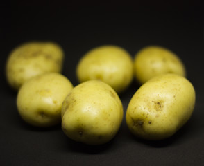 small young potato on a black background