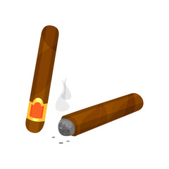 Whole and burning brown cigar with smoke. Smoking theme. Flat vector for promo poster, banner or product packaging