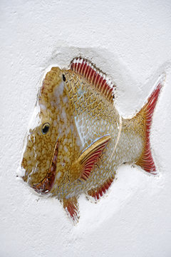 Mondello, decorazioni in ceramica a tema marino