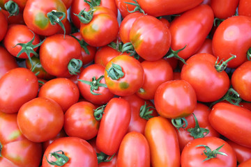 Red round and long fresh ripe tomatoes pattern. Summer vegetables
