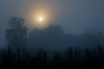 A clear moonlit night in the countryside. Above the city with vegetation, the moon shines brightly_