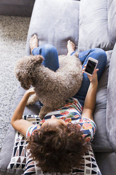 Lovely brown spanish water dog sitting on the sofa with her owner at home, Funny time together. Lifestyle photography. pets indoors