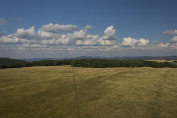 The landscape with meadow, forest, trees, hills and clear blue sky with clouds.
