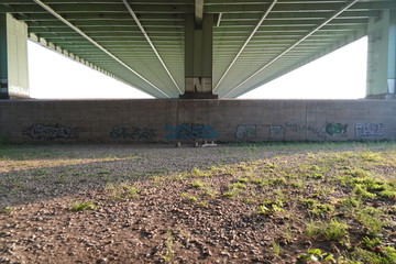 Brücke von unten