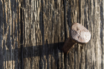 Alter Nagel in Holz
