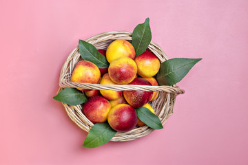 Fresh harvested nectarines in the basket lies on pink background. Vegetables vitamin Keratin Natural  PeachOrganic Top View Flat Lay Rustic Style. Country Village Agriculture concepts Empty text