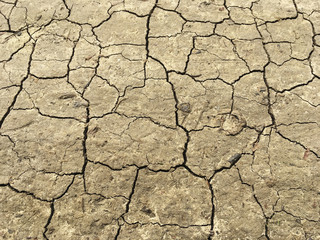 Ausgetrockneter Erdboden durch Hitze mit Risse