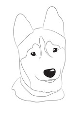 dog portrait, lines, vector