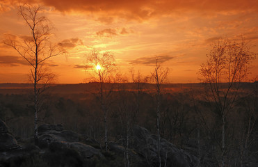Fontainebleau forest sunrise    