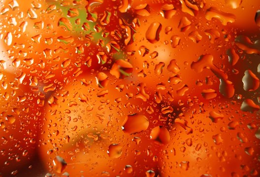 Gotas naranjas