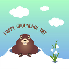 Happy groundhog day card. Holiday winter and spring banner rodent february, spring flower snowdrop clouds clouds woodchuck cute shadow cartoon vector illustration, hole fun. Character animal mammal