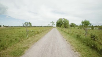 Landscape background with rural road and green meadow in Sweden. Countryside scene of swedish nature in summer.