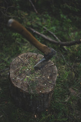 Obraz premium Ax in the stump