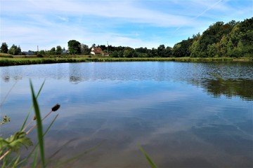 Wald - Wasser - See - Spiegelung