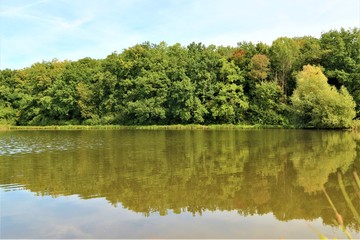 Wald - Wasser - See - Spiegelung